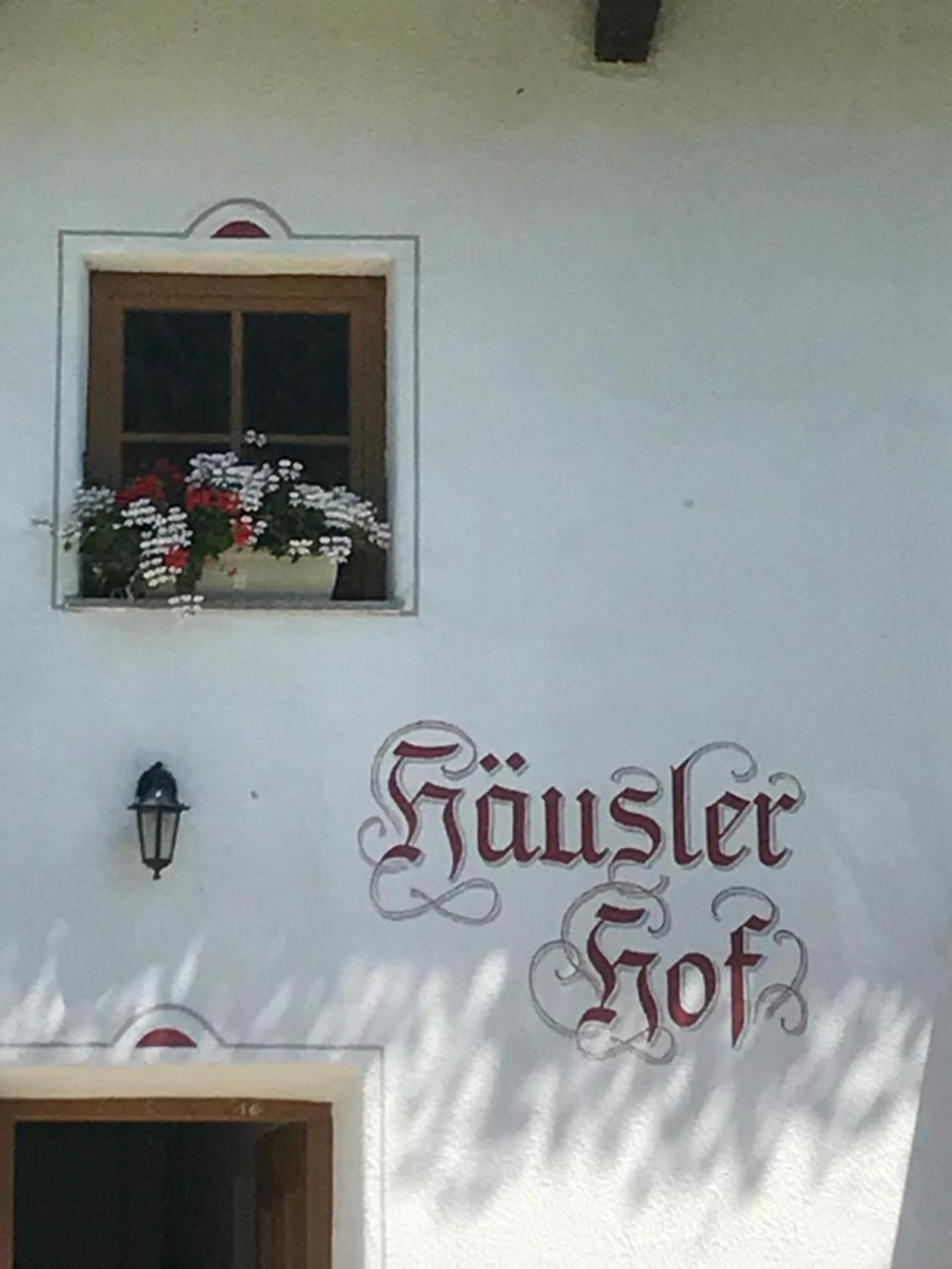 Wilder Mann Steinach am Brenner
